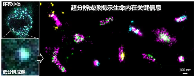 news-640-252 news-640-252