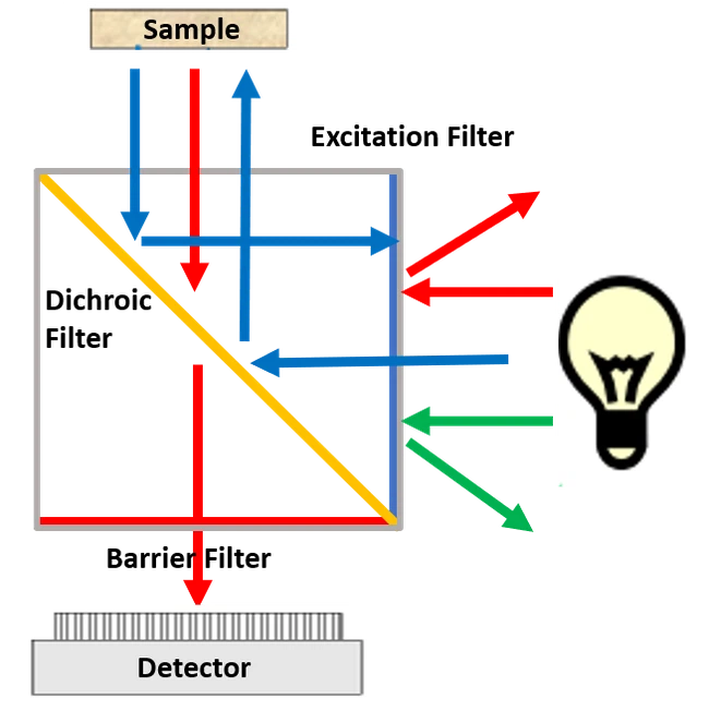 product-654-656 product-654-656